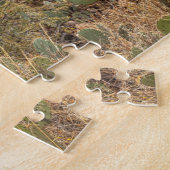 Puzzle Cholla aux fruits enchaînés dans le désert de Sono (Côté)