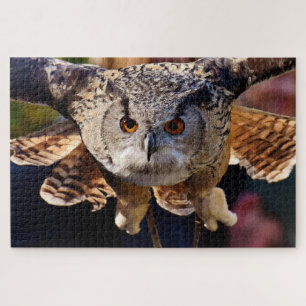 Puzzle Chouette