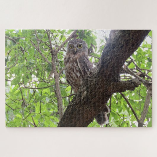 Puzzle chouette (Horizontal)