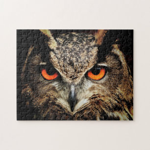 Puzzle Chouette