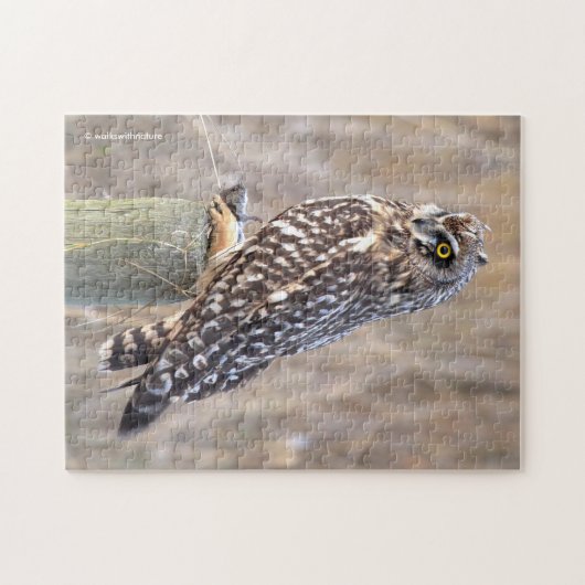Puzzle Chouette à courte portée avec trou (Horizontal)