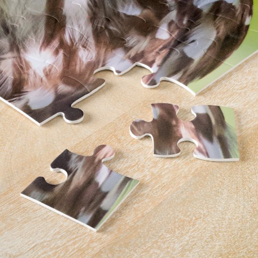 Puzzle Chouette barrée (Côté)