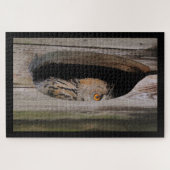 Puzzle Chouette Curieuse Qui Pille De Chez Elle (Horizontal)