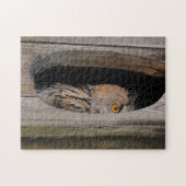 Puzzle Chouette Curieuse Qui Pille De Chez Elle (Horizontal)