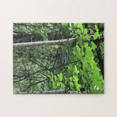 Puzzle Chouette dans les arbres, Oregon (Horizontal)