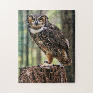 Puzzle Chouette debout Sur Une Forêt D'Arbre Vue Nature O