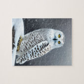 Puzzle Chouette des neiges (Horizontal)