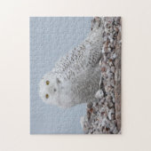 Puzzle Chouette des neiges sur coquilles (Vertical)
