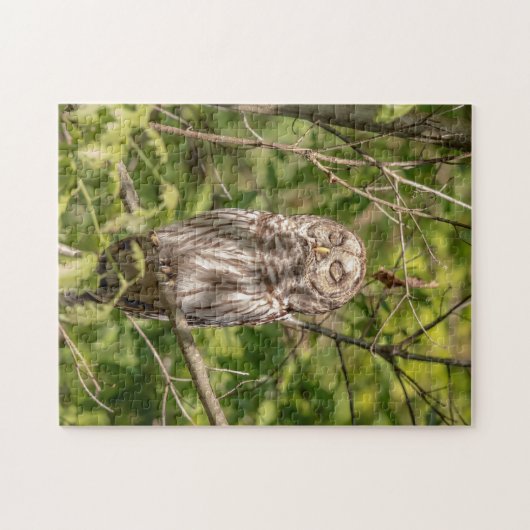 Puzzle Chouette dorée (Horizontal)