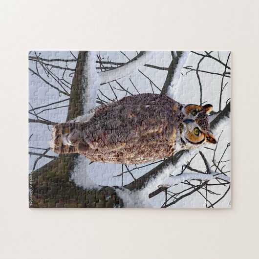 Puzzle "Chouette en hiver" (Horizontal)