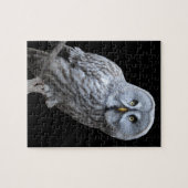 Puzzle Chouette grise (Horizontal)