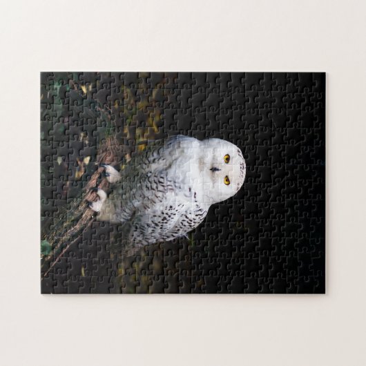 Puzzle Chouette hivernale majestueuse (Horizontal)