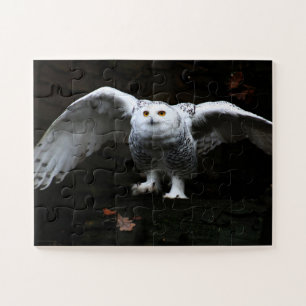Puzzle Chouette neige avec ailes ouvertes 11x14 jpcn 30pc