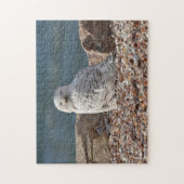 Puzzle Chouette neige endormie (Vertical)