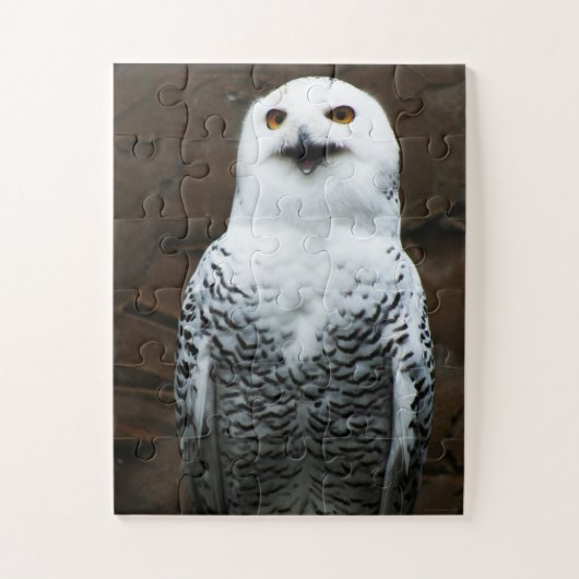 Puzzle Chouette neigeuse 11x14 jpcna 30pc (Vertical)