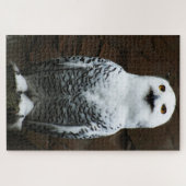 Puzzle Chouette neigeuse 20x30 1014pc jpcnm (Horizontal)