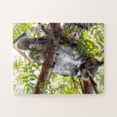 Puzzle Chouette Regardez De La Branche (Horizontal)