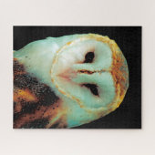 Puzzle Chouettes de la grange - Oiseaux de proie. (Horizontal)