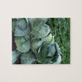 Puzzle Choux (Horizontal)