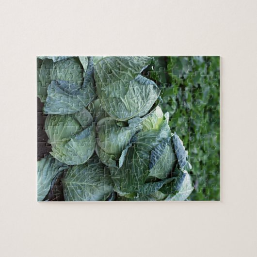 Puzzle Choux (Horizontal)