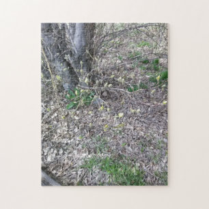 Puzzle choux bourgeons de mars