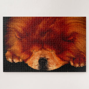 Puzzle Chow couché Chow Chow 20x30 1014pc jpa