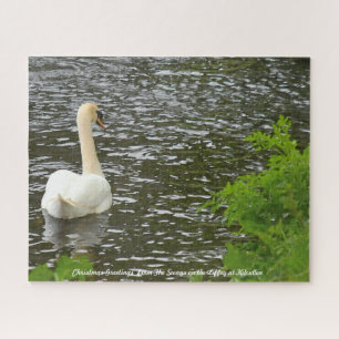 Puzzle Christmas Greetings The Swans in Kilcullen