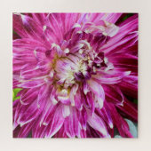 Puzzle Chrysanthème pourpre - Fleur 20x20 (Horizontal)