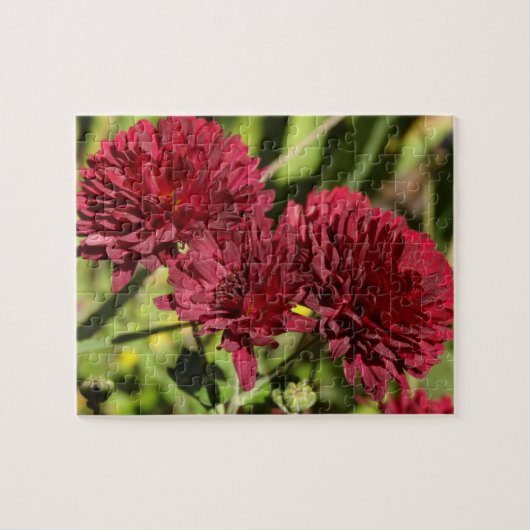 Puzzle Chrysanthèmes bordeaux (Horizontal)