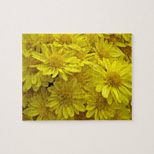 Puzzle Chrysanthèmes jaune soleil