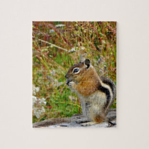 Puzzle Chubby mignon chipmunk sur la souche de bois