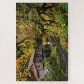 Puzzle Chute à Cedar Creek Grist Mill à Washington (Vertical)