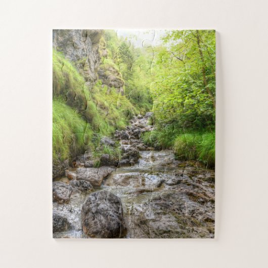 Puzzle Chute d'eau du ruisseau Shallow (Vertical)