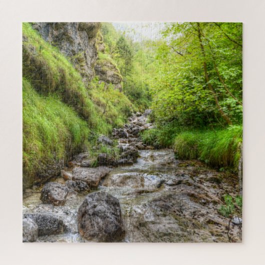 Puzzle Chute d'eau du ruisseau Shallow (Vertical)