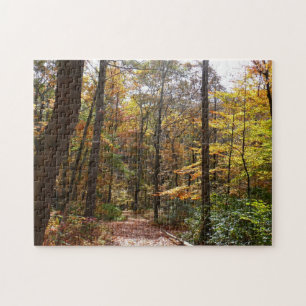 Puzzle Chute Sunlit dans le parc national de Laurel Hill