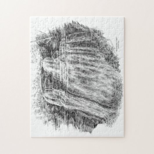 Puzzle Chutes Brandywine (CVNP) (Vertical)