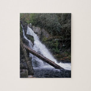 Puzzle Chutes d'Abrams