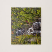 Puzzle Chutes d'eau de mer spectaculaires en automne dans (Vertical)