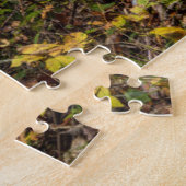 Puzzle Chutes du ruisseau Dunloup | Virginie occidentale (Côté)