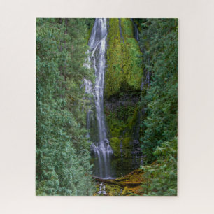 Puzzle Chutes Proxy inférieures   Forêt nationale de Will