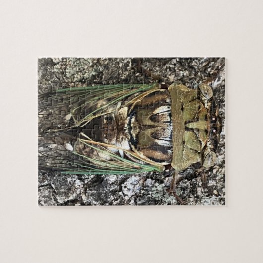Puzzle Cicada (Horizontal)