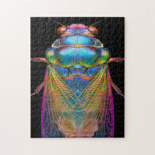 Puzzle Cicada aux couleurs irisées sur noir