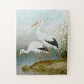 Puzzle cigogne blanche, illustrations d'oiseaux (Vertical)
