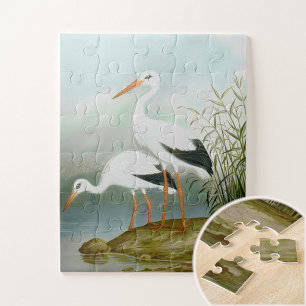 Puzzle cigogne blanche, illustrations d'oiseaux