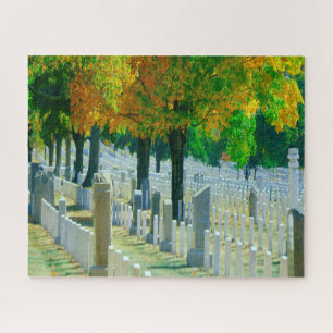Puzzle Cimetière de Washington Arlington