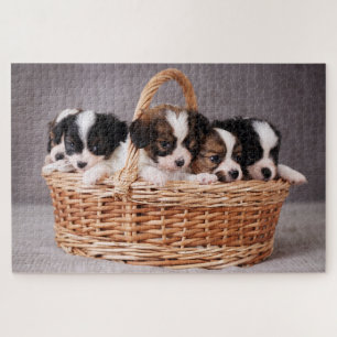 Puzzle Cinq mignons chiots dans un panier