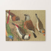 Puzzle Cinq oiseaux de compagnie colorés perchés sur une (Horizontal)
