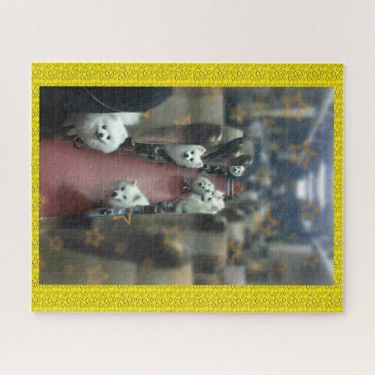 Puzzle Circuler en train pour chiens (Horizontal)