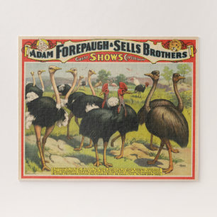 Puzzle Cirque vintage Montrant Des Ostriches Et De Grands