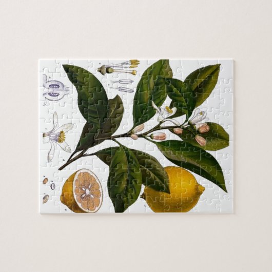 Puzzle Citron (Horizontal)